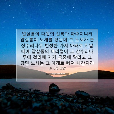 Picture 07 - 사무엘하 18:9 KOR - 압살롬이 다윗의 신복과 마주치니라 - Bible Verse Picture