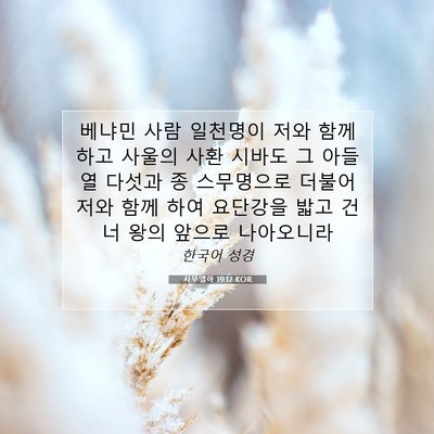 Picture 07 - 사무엘하 19:17 KOR - 베냐민 사람 일천명이 저와 함께 - Bible Verse Picture