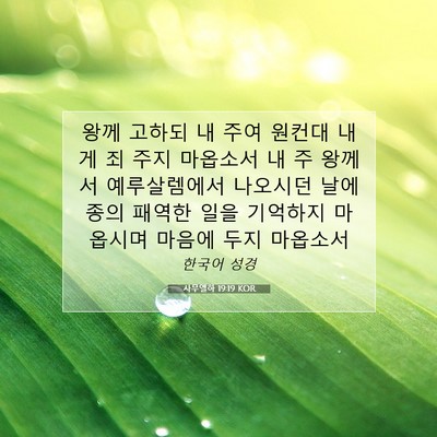 Picture 07 - 사무엘하 19:19 KOR - 왕께 고하되 내 주여 원컨대 내게 죄 - Bible Verse Picture