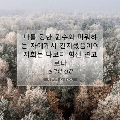 Picture 07 - 사무엘하 22:18 KOR - 나를 강한 원수와 미워하는 자에게서 - Bible Verse Picture