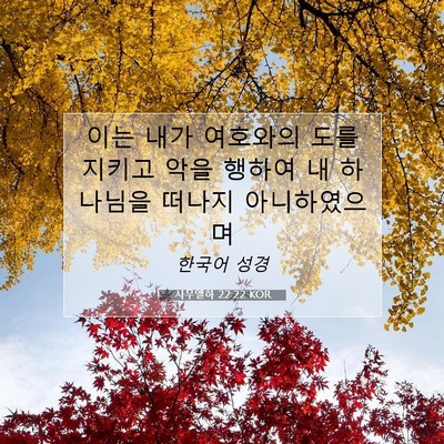 Picture 07 - 사무엘하 22:22 KOR - 이는 내가 여호와의 도를 지키고 - Bible Verse Picture