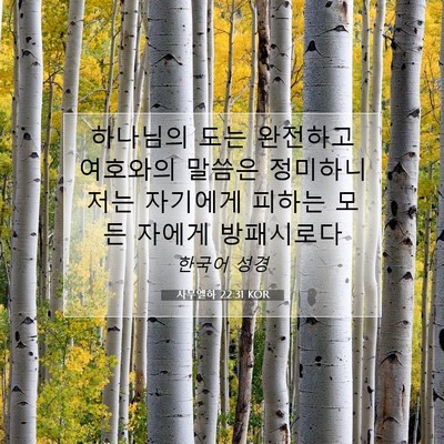 Picture 07 - 사무엘하 22:31 KOR - 하나님의 도는 완전하고 여호와의 - Bible Verse Picture