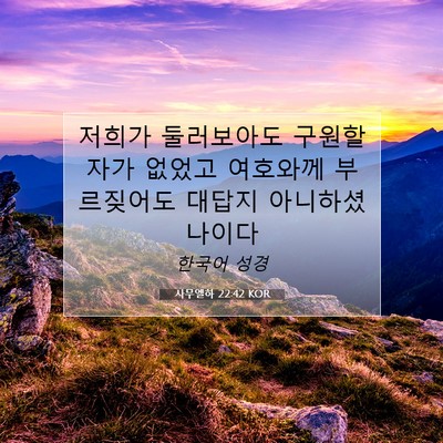 Picture 07 - 사무엘하 22:42 KOR - 저희가 둘러보아도 구원할 자가 - Bible Verse Picture
