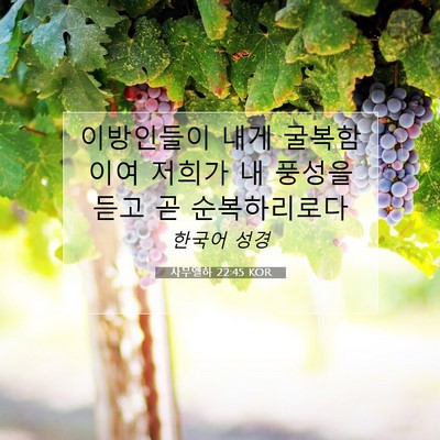 Picture 07 - 사무엘하 22:45 KOR - 이방인들이 내게 굴복함이여 저희가 - Bible Verse Picture