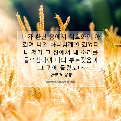 Picture 07 - 사무엘하 22:7 KOR - 내가 환난 중에서 여호와께 아뢰며 - Bible Verse Picture