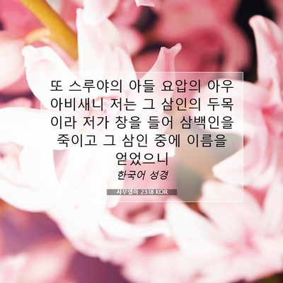 Picture 07 - 사무엘하 23:18 KOR - 또 스루야의 아들 요압의 아우 - Bible Verse Picture