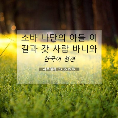 Picture 07 - 사무엘하 23:36 KOR - 소바 나단의 아들 이갈과 갓 사람 - Bible Verse Picture