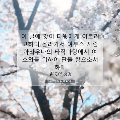 Picture 07 - 사무엘하 24:18 KOR - 이 날에 갓이 다윗에게 이르러 - Bible Verse Picture