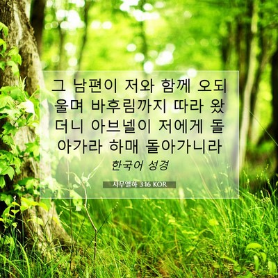 Picture 07 - 사무엘하 3:16 KOR - 그 남편이 저와 함께 오되 울며 - Bible Verse Picture
