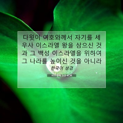 Picture 07 - 사무엘하 5:12 KOR - 다윗이 여호와께서 자기를 세우사 - Bible Verse Picture