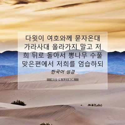 Picture 07 - 사무엘하 5:23 KOR - 다윗이 여호와께 묻자온대 가라사대 - Bible Verse Picture