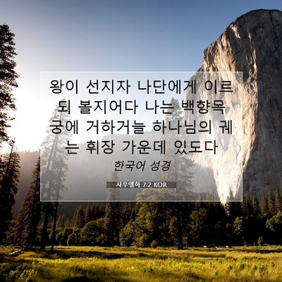 Picture 07 - 사무엘하 7:2 KOR - 왕이 선지자 나단에게 이르되 - Bible Verse Picture