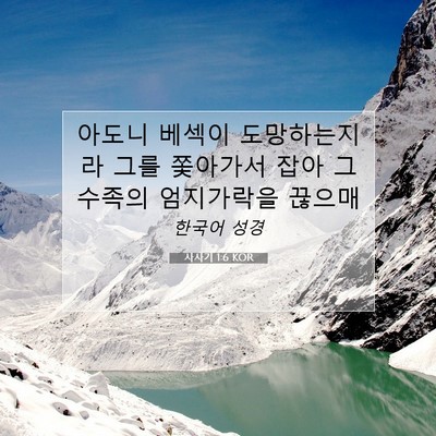 Picture 07 - 사사기 1:6 KOR - 아도니 베섹이 도망하는지라 그를 - Bible Verse Picture