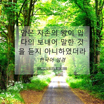 Picture 07 - 사사기 11:28 KOR - 암몬 자손의 왕이 입다의 보내어 - Bible Verse Picture