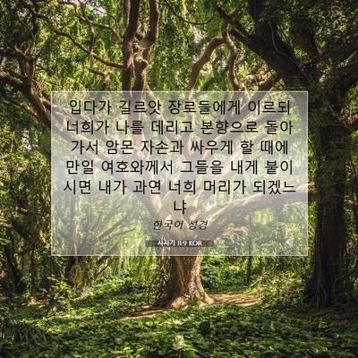 Picture 07 - 사사기 11:9 KOR - 입다가 길르앗 장로들에게 이르되 - Bible Verse Picture