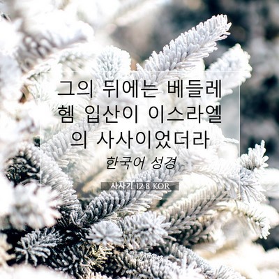 Picture 07 - 사사기 12:8 KOR - 그의 뒤에는 베들레헴 입산이 - Bible Verse Picture