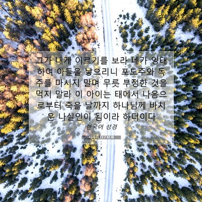 Picture 07 - 사사기 13:7 KOR - 그가 내게 이르기를 보라 네가 - Bible Verse Picture