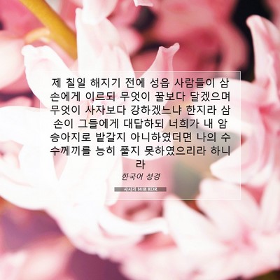 Picture 07 - 사사기 14:18 KOR - 제 칠일 해지기 전에 성읍 사람들이 - Bible Verse Picture