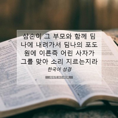 Picture 07 - 사사기 14:5 KOR - 삼손이 그 부모와 함께 딤나에 - Bible Verse Picture
