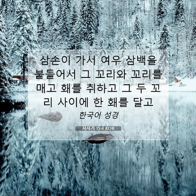 Picture 07 - 사사기 15:4 KOR - 삼손이 가서 여우 삼백을 붙들어서 - Bible Verse Picture