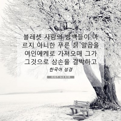 Picture 07 - 사사기 16:8 KOR - 블레셋 사람의 방백들이 마르지 - Bible Verse Picture