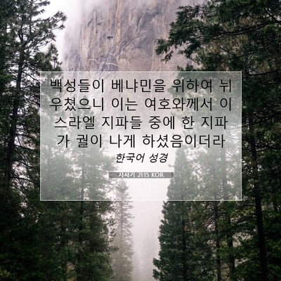 Picture 07 - 사사기 21:15 KOR - 백성들이 베냐민을 위하여 - Bible Verse Picture
