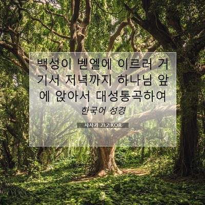 Picture 07 - 사사기 21:2 KOR - 백성이 벧엘에 이르러 거기서 - Bible Verse Picture