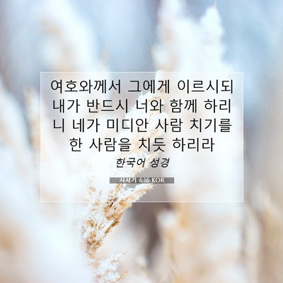 Picture 07 - 사사기 6:16 KOR - 여호와께서 그에게 이르시되 내가 - Bible Verse Picture