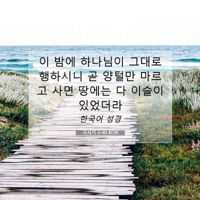 Picture 07 - 사사기 6:40 KOR - 이 밤에 하나님이 그대로 행하시니 - Bible Verse Picture