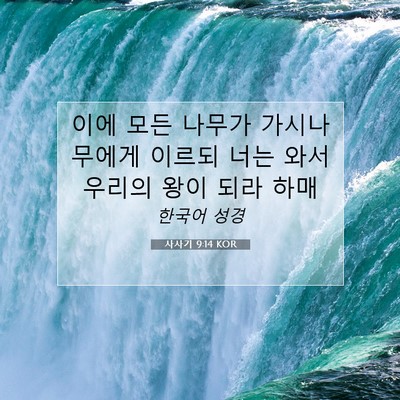 Picture 07 - 사사기 9:14 KOR - 이에 모든 나무가 가시나무에게 - Bible Verse Picture
