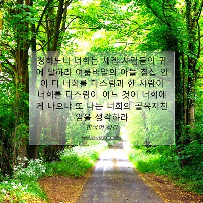 Picture 07 - 사사기 9:2 KOR - 청하노니 너희는 세겜 사람들의 귀에 - Bible Verse Picture
