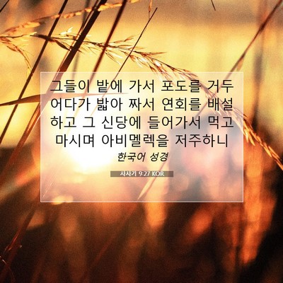 Picture 07 - 사사기 9:27 KOR - 그들이 밭에 가서 포도를 거두어다가 - Bible Verse Picture
