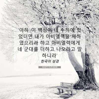 Picture 07 - 사사기 9:29 KOR - 