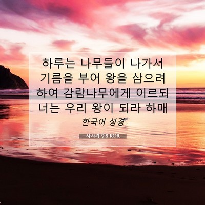 Picture 07 - 사사기 9:8 KOR - 하루는 나무들이 나가서 기름을 부어 - Bible Verse Picture