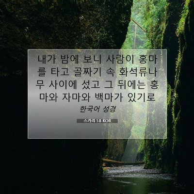 Picture 07 - 스가랴 1:8 KOR - 내가 밤에 보니 사람이 홍마를 타고 - Bible Verse Picture