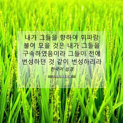 Picture 07 - 스가랴 10:8 KOR - 내가 그들을 향하여 휘파람 불어 - Bible Verse Picture