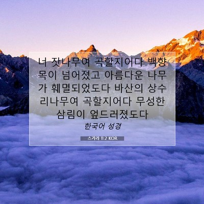 Picture 07 - 스가랴 11:2 KOR - 너 잣나무여 곡할지어다 백향목이 - Bible Verse Picture