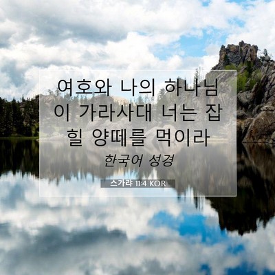 Picture 07 - 스가랴 11:4 KOR - 여호와 나의 하나님이 가라사대 너는 - Bible Verse Picture