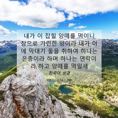 Picture 07 - 스가랴 11:7 KOR - 내가 이 잡힐 양떼를 먹이니 참으로 - Bible Verse Picture