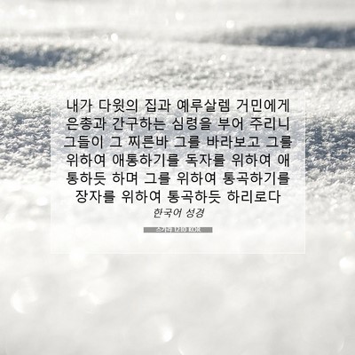 Picture 07 - 스가랴 12:10 KOR - 내가 다윗의 집과 예루살렘 거민에게 - Bible Verse Picture