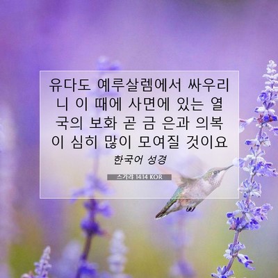 Picture 07 - 스가랴 14:14 KOR - 유다도 예루살렘에서 싸우리니 이 - Bible Verse Picture