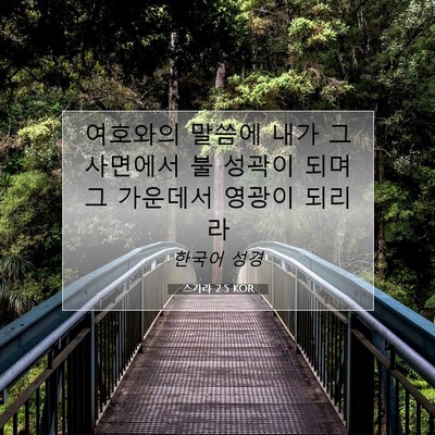Picture 07 - 스가랴 2:5 KOR - 여호와의 말씀에 내가 그 사면에서 - Bible Verse Picture