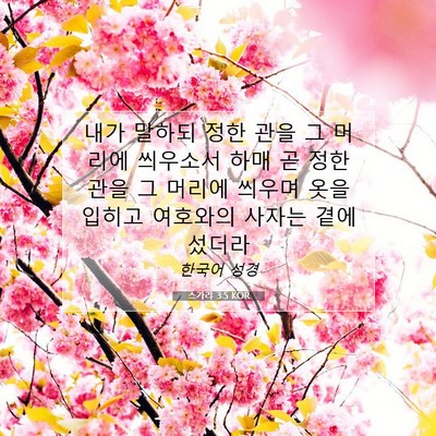 Picture 07 - 스가랴 3:5 KOR - 내가 말하되 정한 관을 그 머리에 - Bible Verse Picture