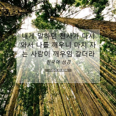 Picture 07 - 스가랴 4:1 KOR - 내게 말하던 천사가 다시 와서 나를 - Bible Verse Picture