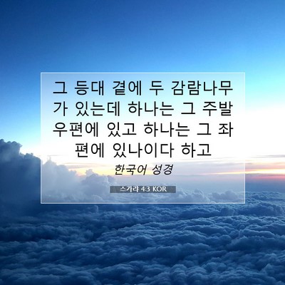 Picture 07 - 스가랴 4:3 KOR - 그 등대 곁에 두 감람나무가 있는데 - Bible Verse Picture