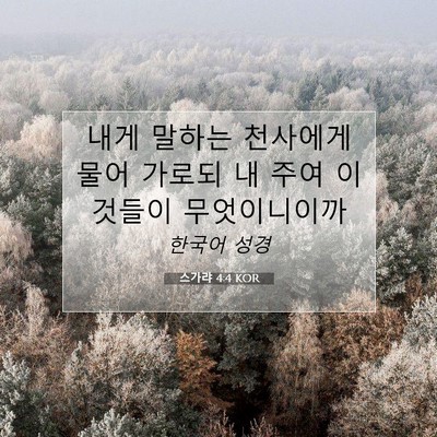 Picture 07 - 스가랴 4:4 KOR - 내게 말하는 천사에게 물어 가로되 - Bible Verse Picture