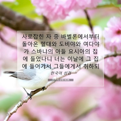 Picture 07 - 스가랴 6:10 KOR - 사로잡힌 자 중 바벨론에서부터 - Bible Verse Picture