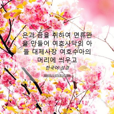 Picture 07 - 스가랴 6:11 KOR - 은과 금을 취하여 면류관을 만들어 - Bible Verse Picture