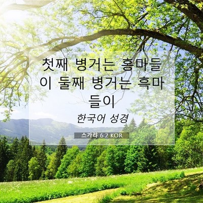 Picture 07 - 스가랴 6:2 KOR - 첫째 병거는 홍마들이 둘째 병거는 - Bible Verse Picture