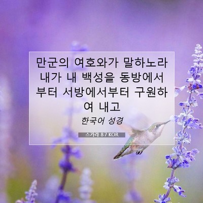 Picture 07 - 스가랴 8:7 KOR - 만군의 여호와가 말하노라 내가 내 - Bible Verse Picture